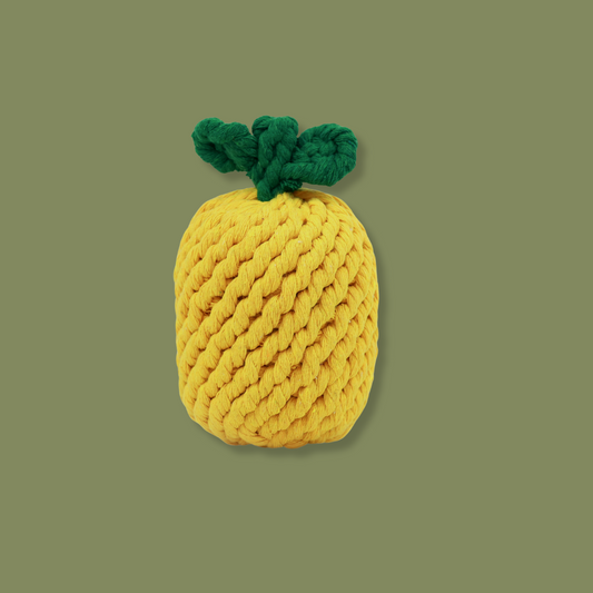 Knotty Large Pineapple Rope Toy